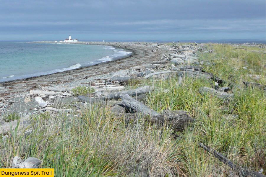 Blog Image (13) (1)