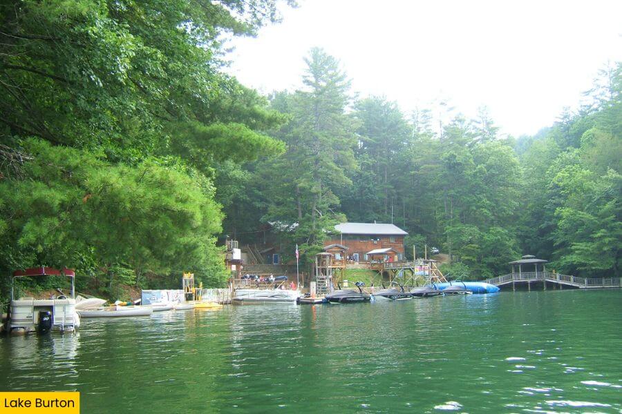 Blog Image (2) (1)