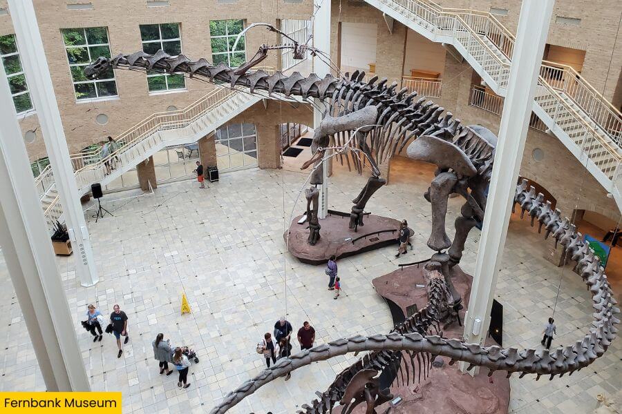 Blog Image (3) (1)