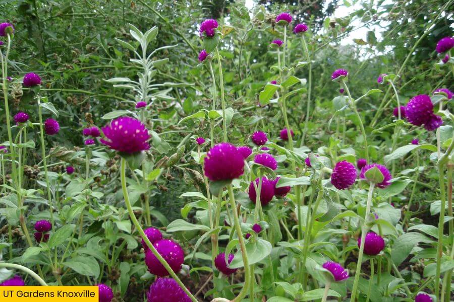 Blog Image (9) (1)