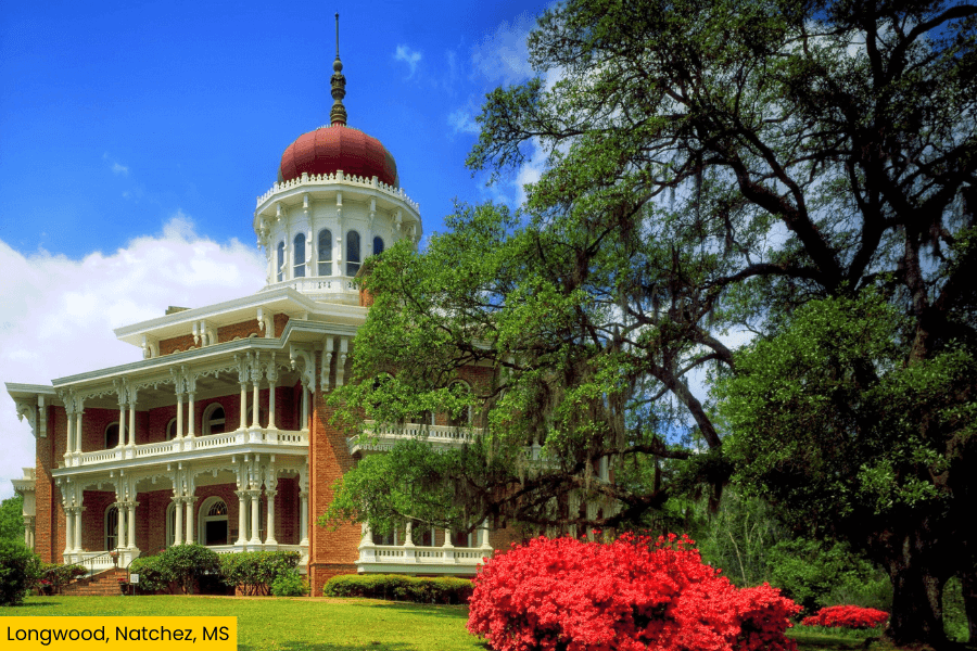 LONGWOOD NATCHEZ