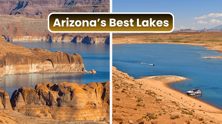 Revealed: 8 Best Lakes In Arizona That You Cannot Miss!